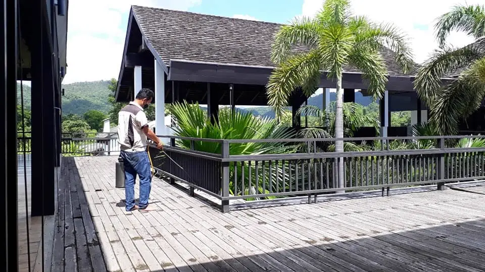 Professional pest control inspection and treatment at Chiang Mai property